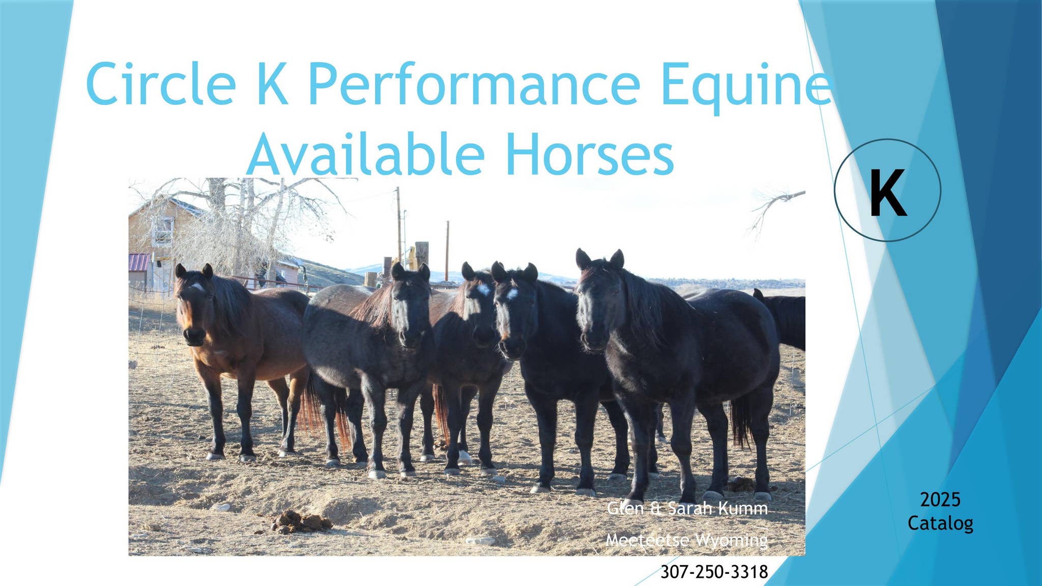 Kumm Performance Equine Catalog by kummperformanceequine Issuu