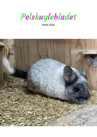 Pelskuglebladet marts 2025