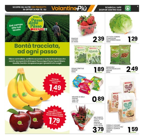 OS07 INTERSPAR CAMPANIA 第 8 页