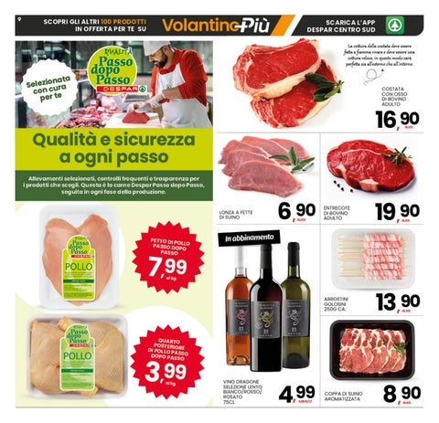 OS07 INTERSPAR CALABRIA 第 9 页