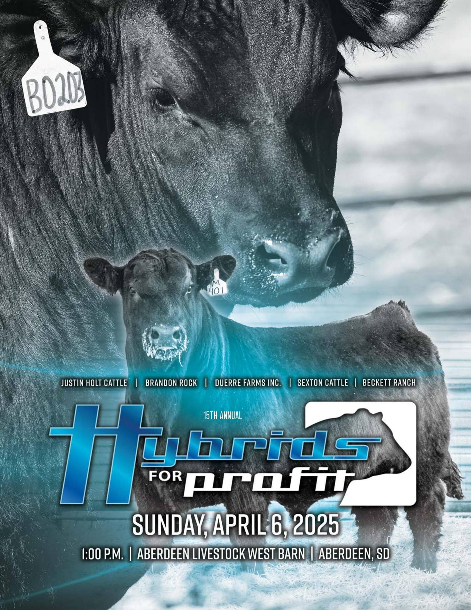 2025 Hybrids for Profit Catalog by Justin Holt Cattle Issuu
