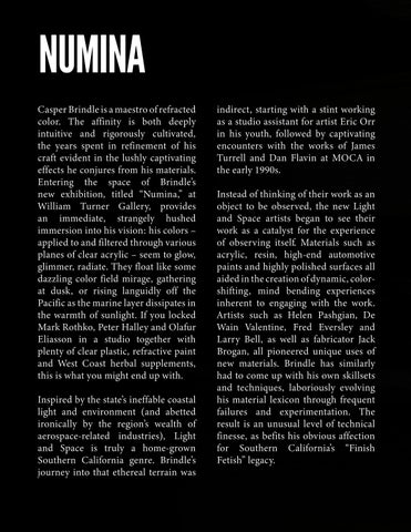 CASPER BRINDLE: NUMINA 第 14 页