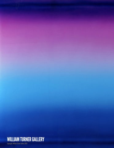 CASPER BRINDLE: NUMINA 第 2 页