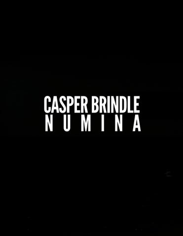 CASPER BRINDLE: NUMINA 第 4 页