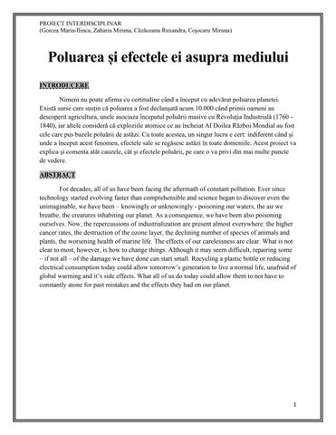 Poluarea_proiect interdisciplinar