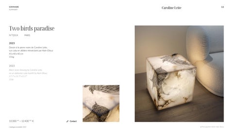 GAE 灯饰目录 Caroline Leite 法文 英文 第 13 页