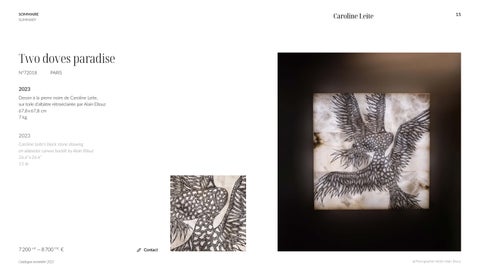 GAE 灯饰目录 Caroline Leite 法文 英文 第 15 页