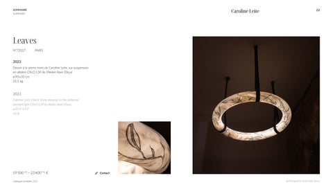 GAE 灯饰目录 Caroline Leite 法文 英文 第 22 页