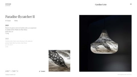 GAE 灯饰目录 Caroline Leite 法文 英文 第 23 页