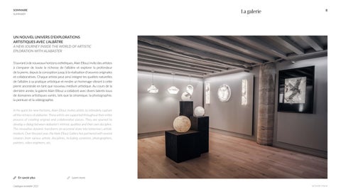 GAE 灯饰目录 Caroline Leite 法文 英文 第 8 页
