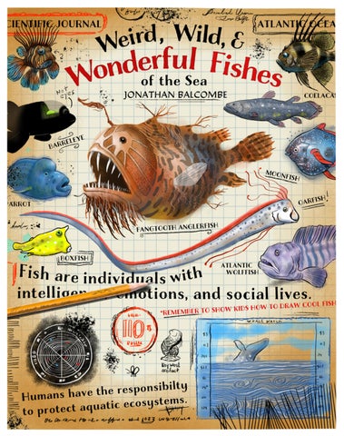 Weird, Wild, & Wonderful Fishes of the Sea