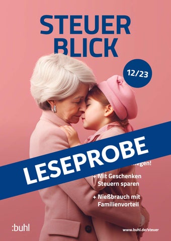 Steuer-Blick Leseprobe