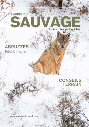 Appel du sauvage N°1