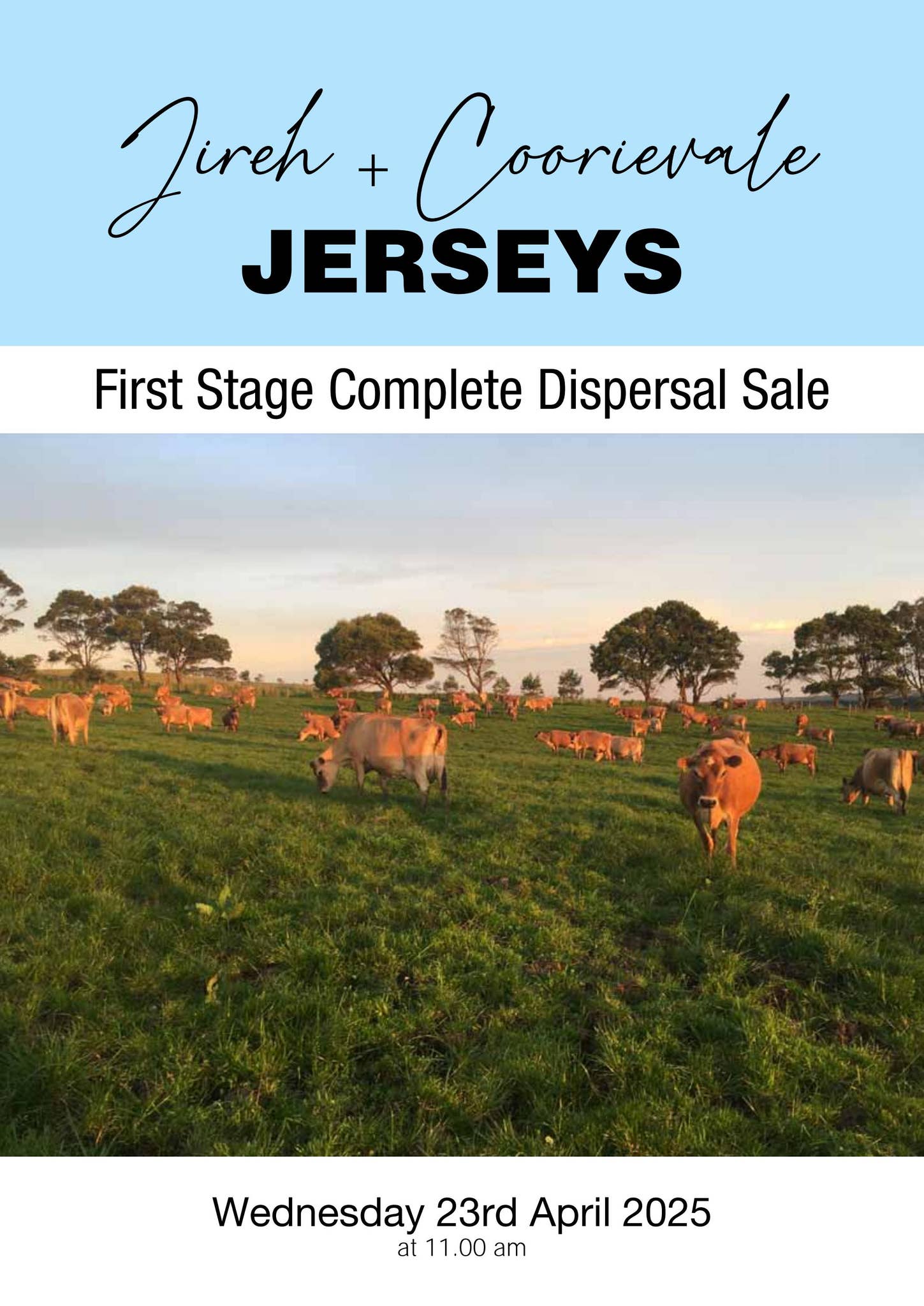 Jireh Coorievale Jersey Catalogue online version by Calderbrae Issuu