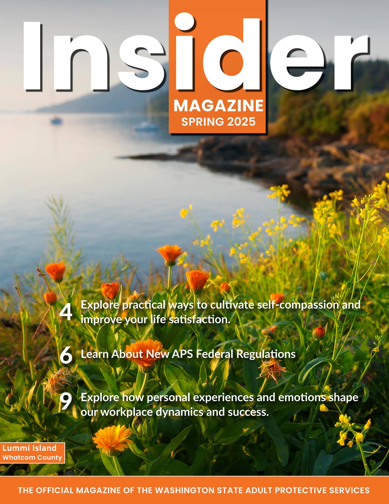 APS Magazine Spring (Apr/May/Jun) 2025 by dshs_altsa - Issuu