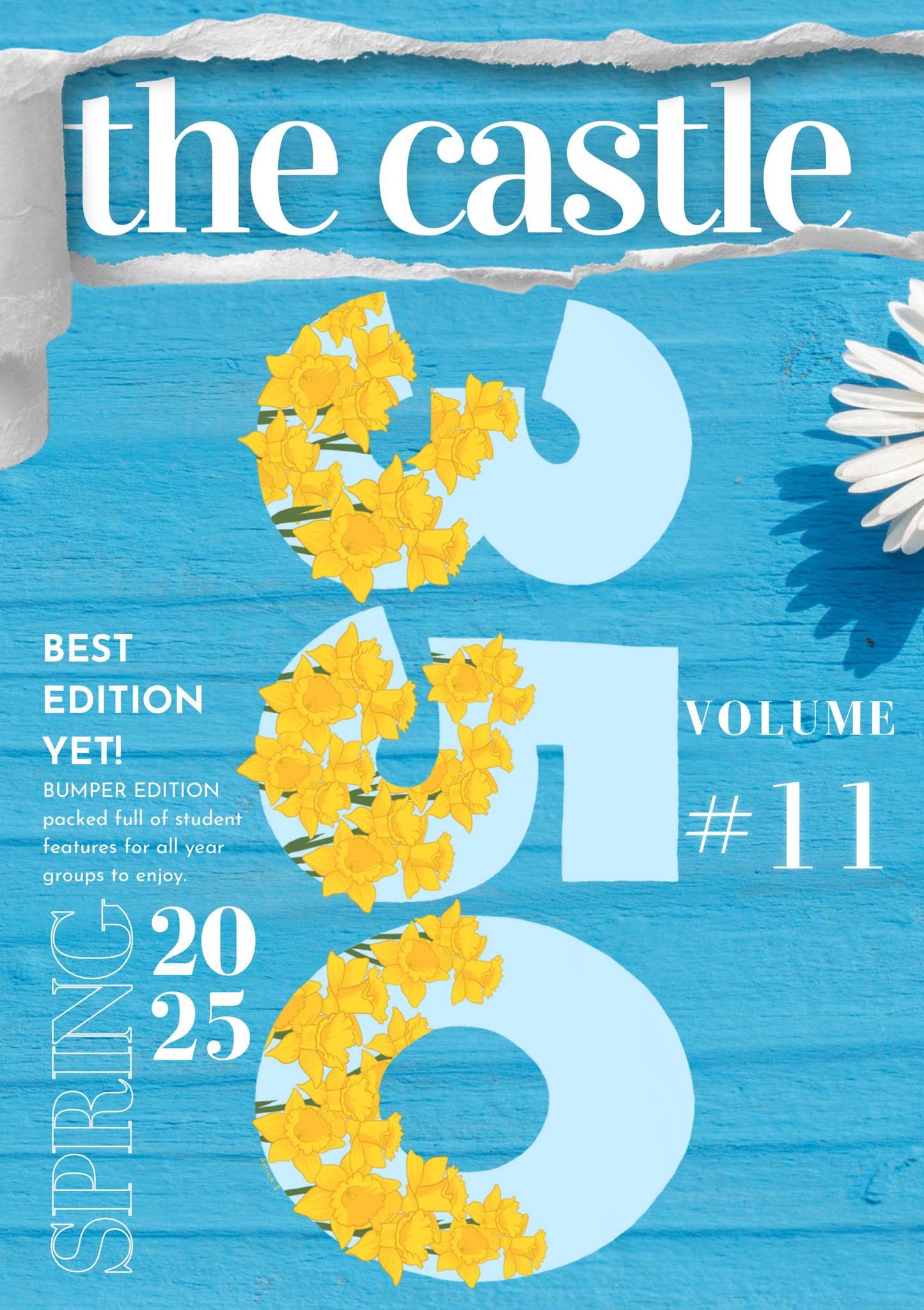 The Castle Spring Term 2025 by RGS - Issuu