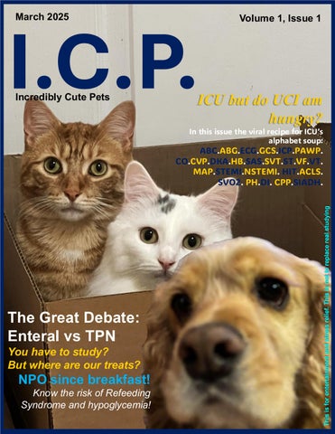 Just Cute. Not a Study Guide Study Guide