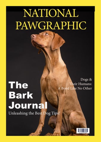 COM109 Magazine copy