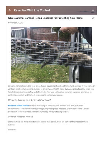 Why Is Animal Damage Repair Essential for Protecting Your Home