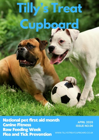 Tilly's April Magazine 