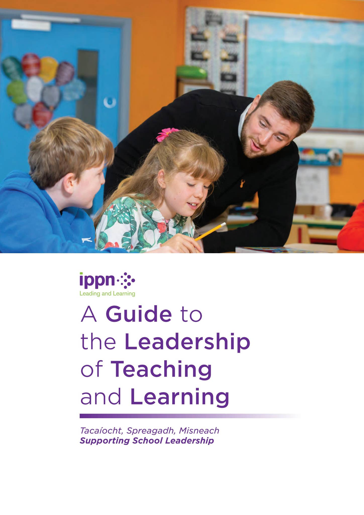 A Guide to the Leadership of Teaching and Learning by Irish Primary ...