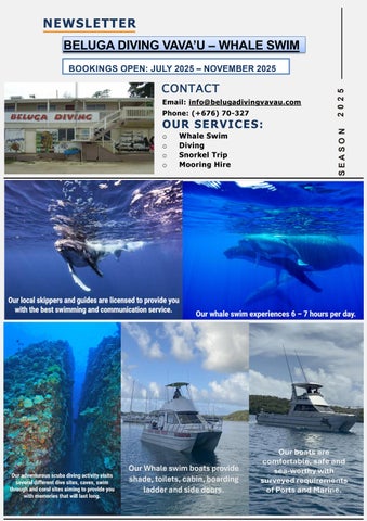 Beluga Newsletter FINAL