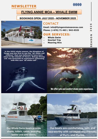 Flying Annie Moa Whale swim Newsletter FINAL