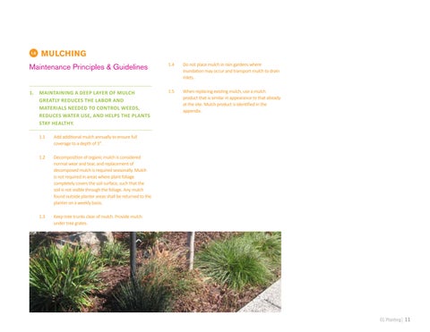 Castro Valley Boulevard Maintenance Plan 第 13 页