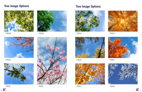 Scenic Image Gallery 第 8 页