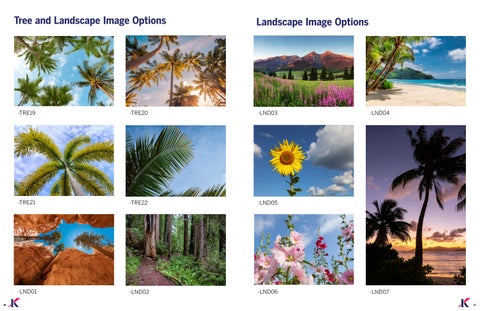 Scenic Image Gallery 第 9 页