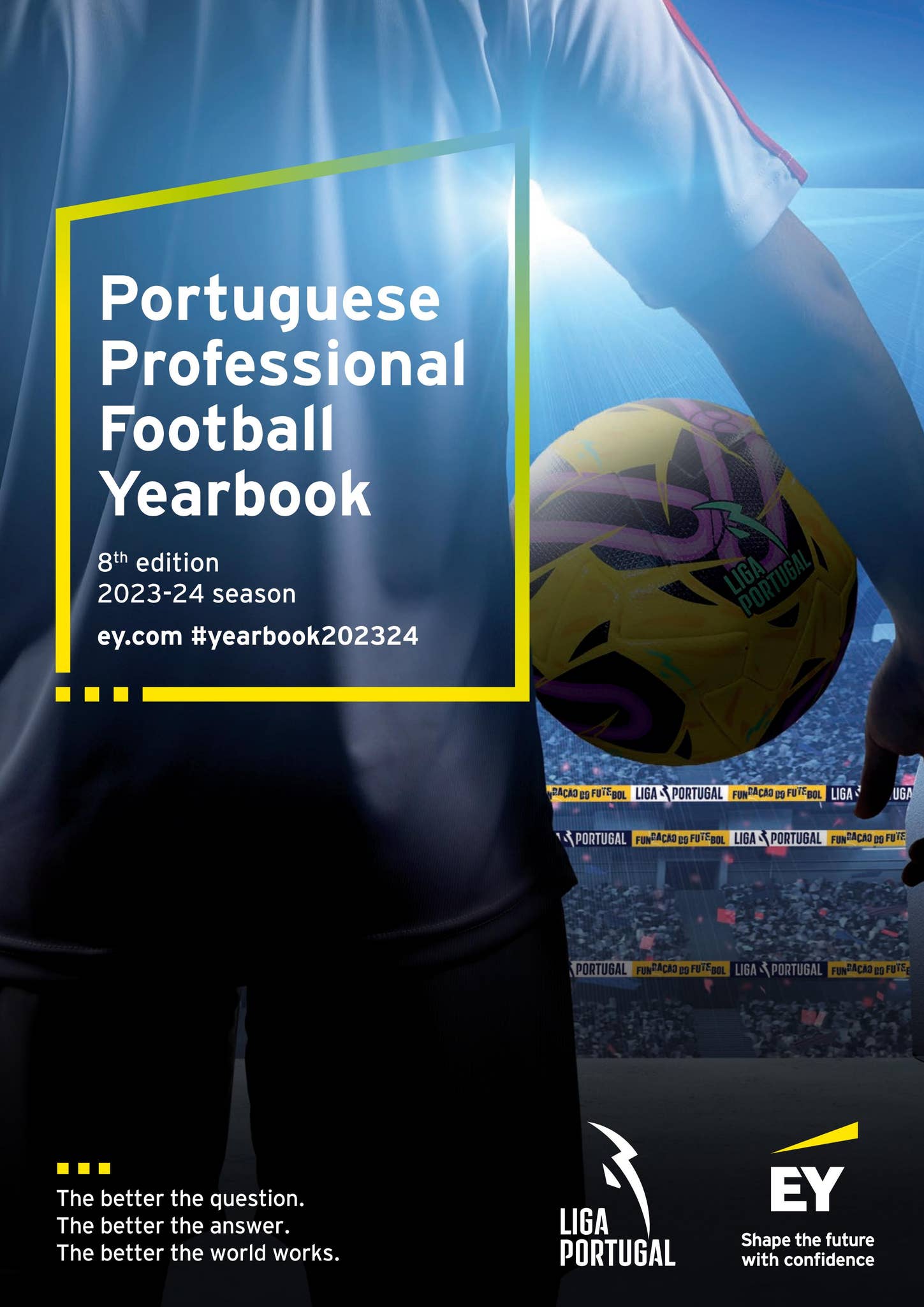 The UEFA European Football Yearbook 2012-13, Mike Hammond