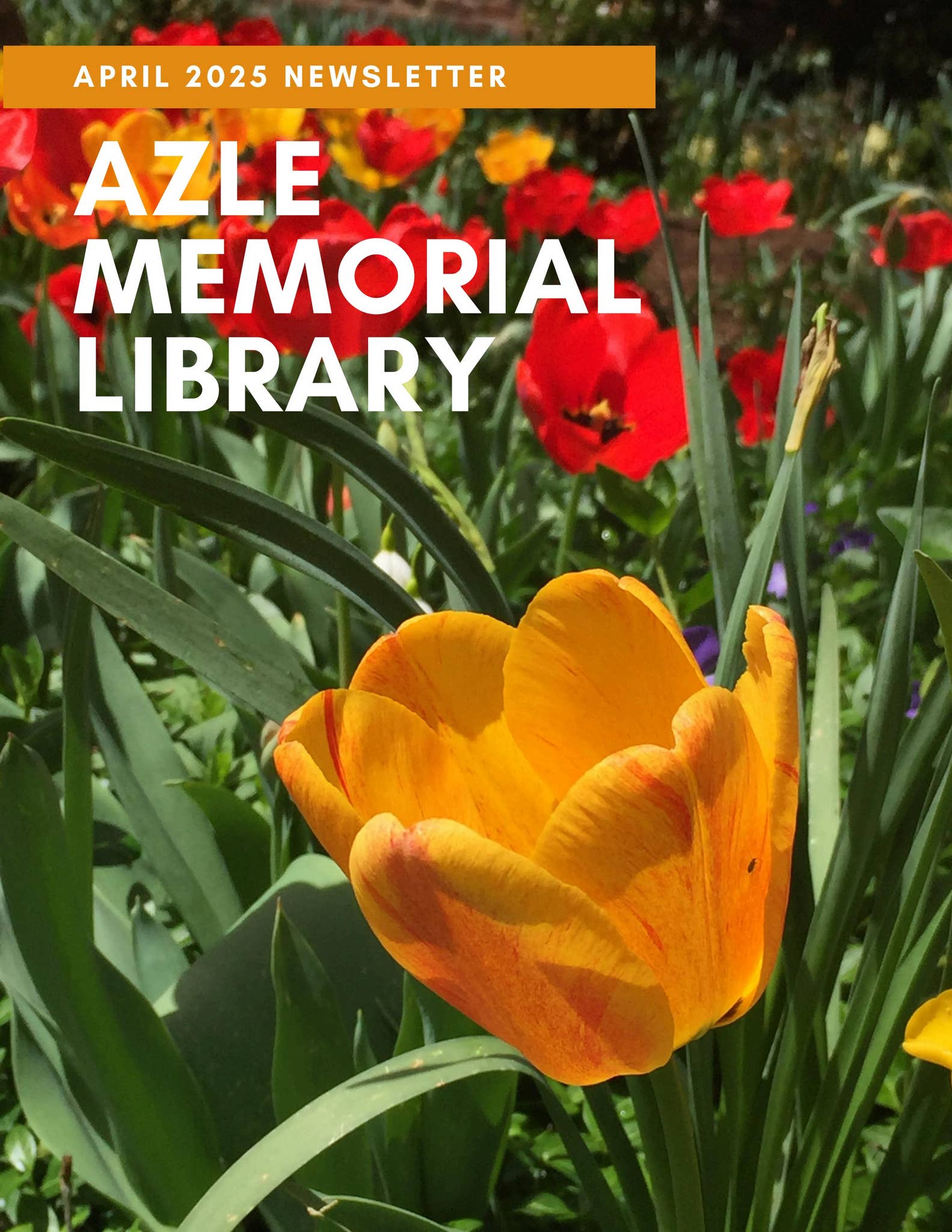 Azle Memorial Library April 2025 Newsletter by City of Azle Issuu
