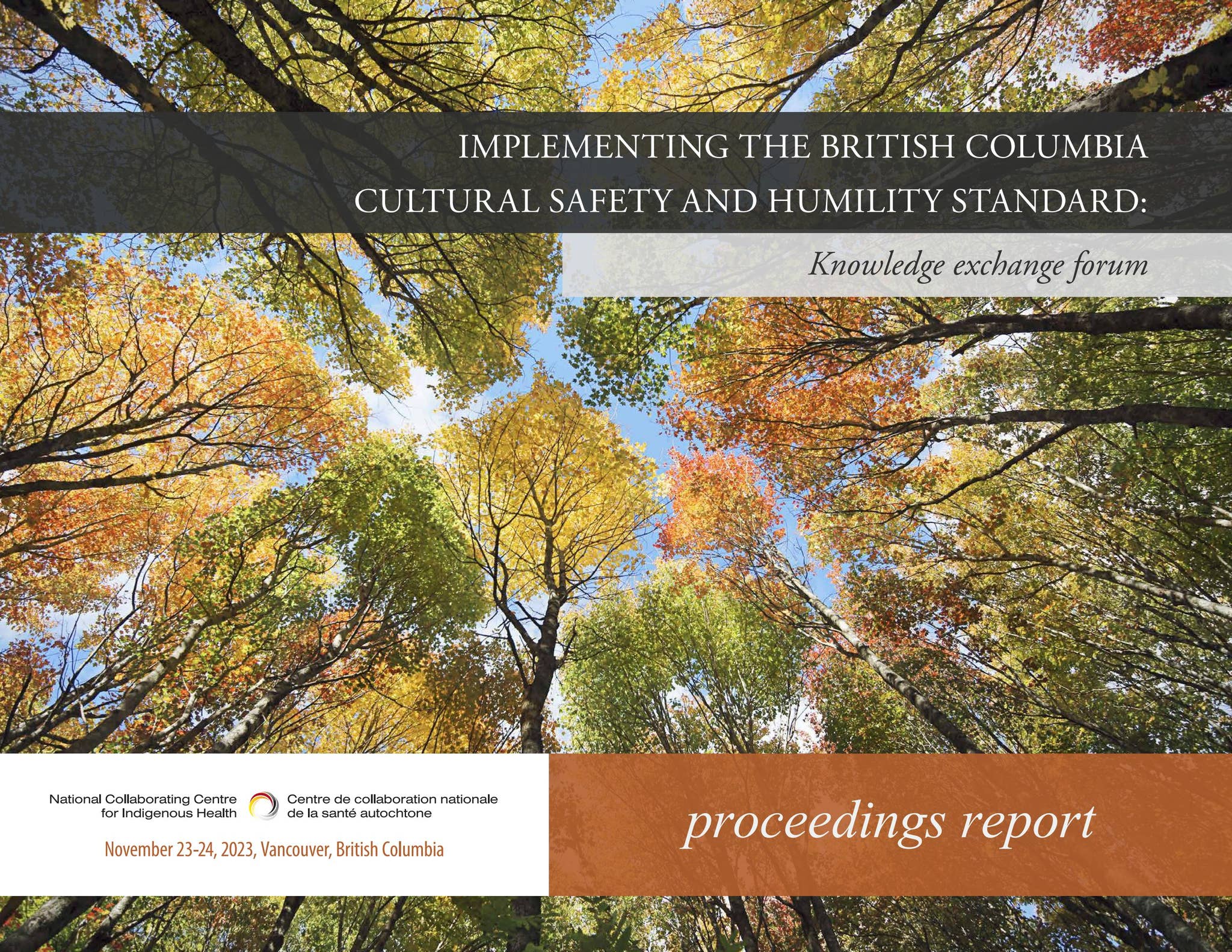 Implementing the British Columbia Cultural Safety and Humility Standard ...
