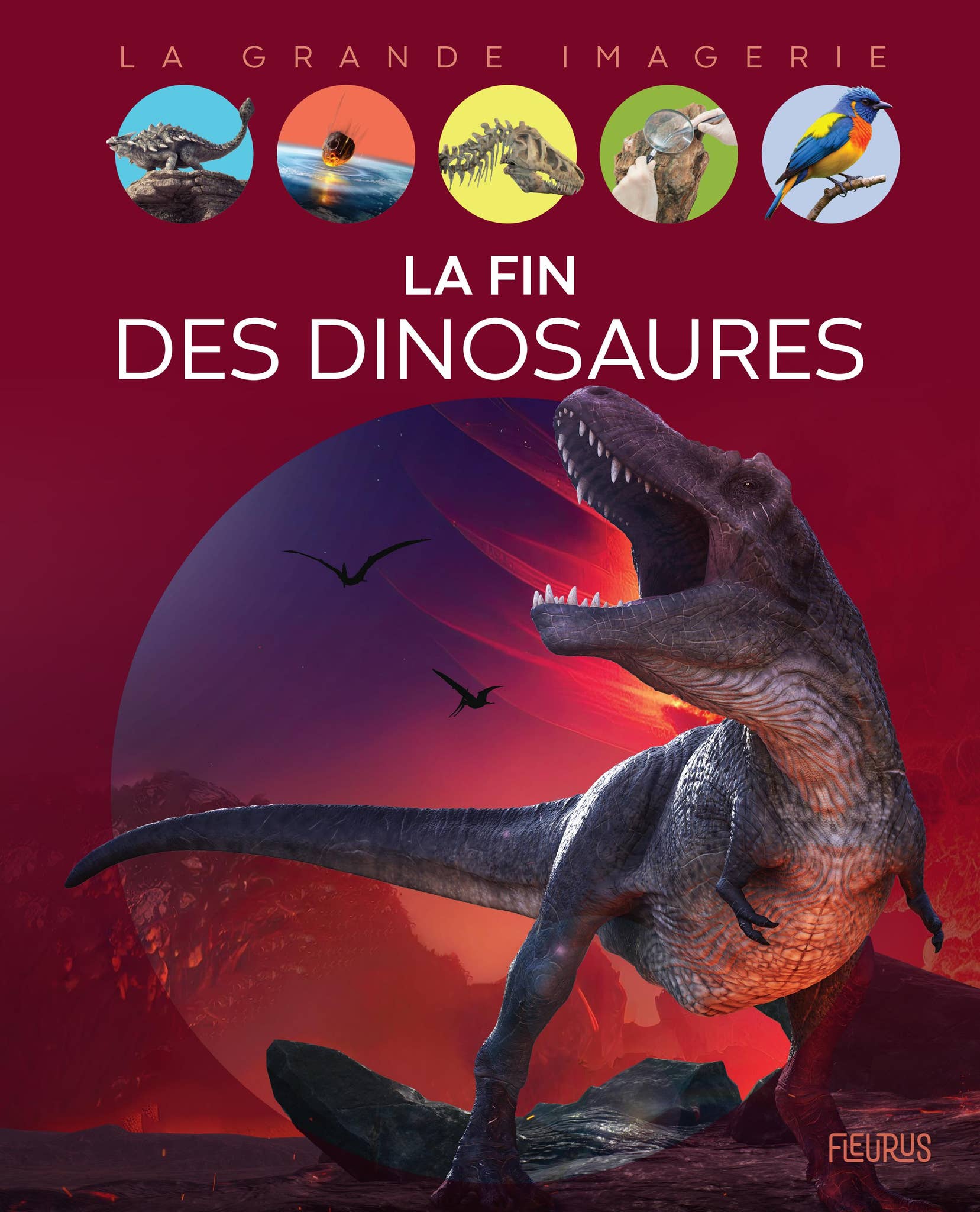 Fin des dinosaures - Grande imagerie Preview by Fleurus Editions - Issuu, image size:1657x2048