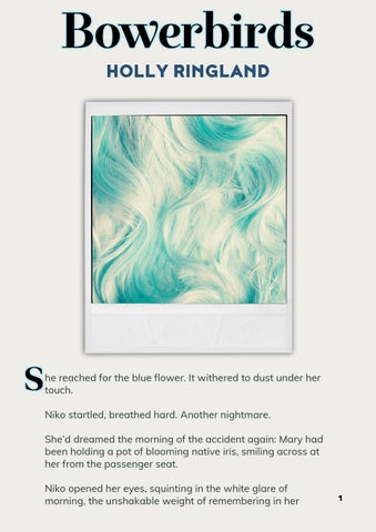 Bowerbirds by Holly Ringland