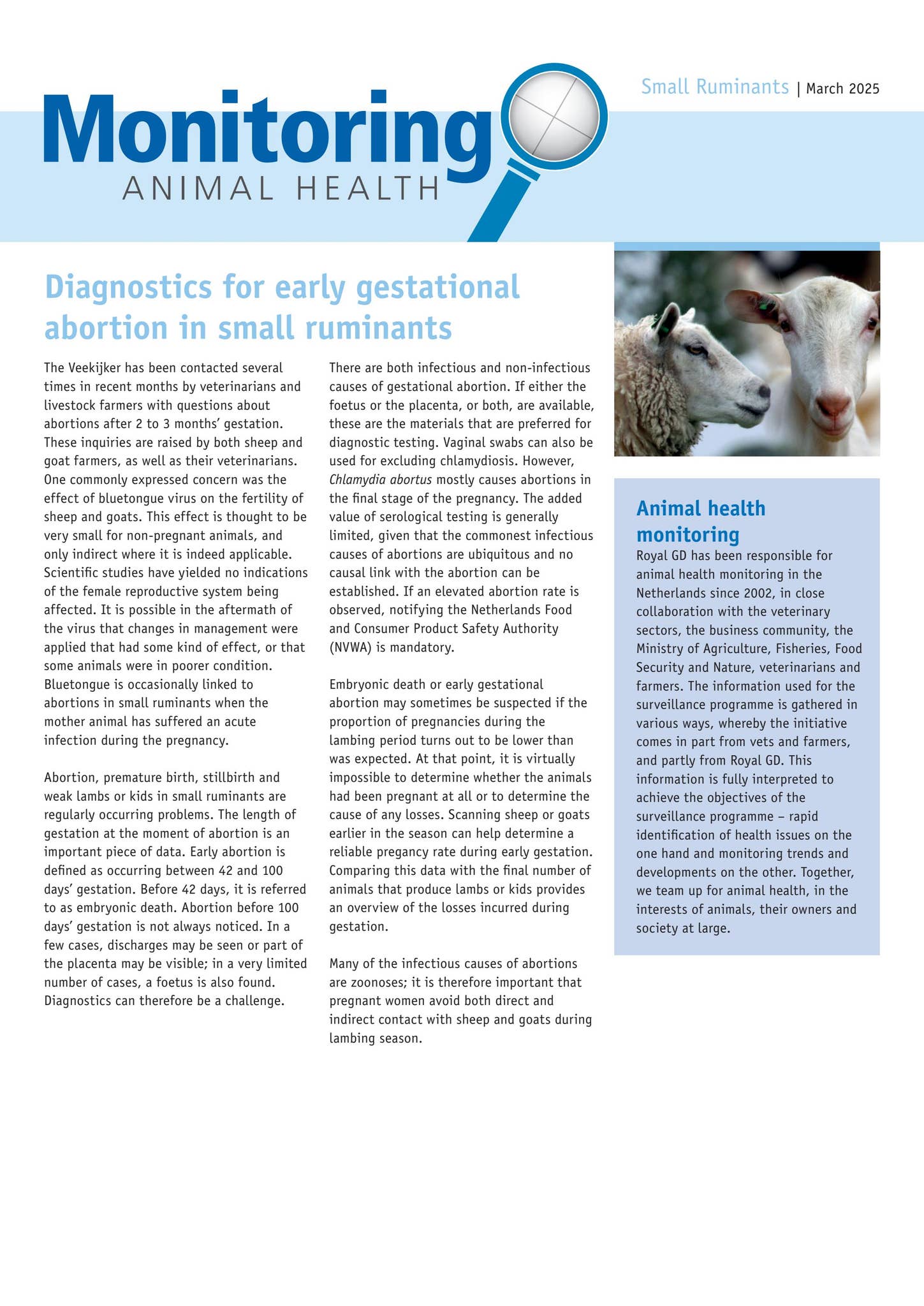 Highlights report small ruminants-March 2025 by Royal GD - Issuu