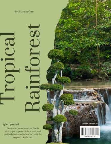 Green Simple Clean Modern Nature Magazine