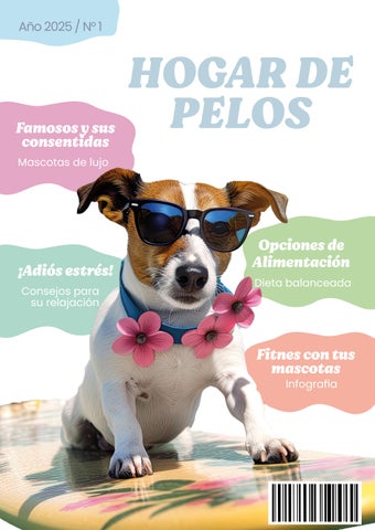 Revista de Mascotas "Hogar de Pelos" (infografía central)
