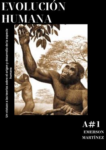 Evolución Humana