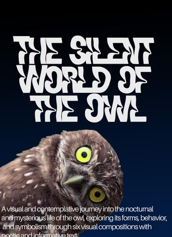 The silent World of the Owl