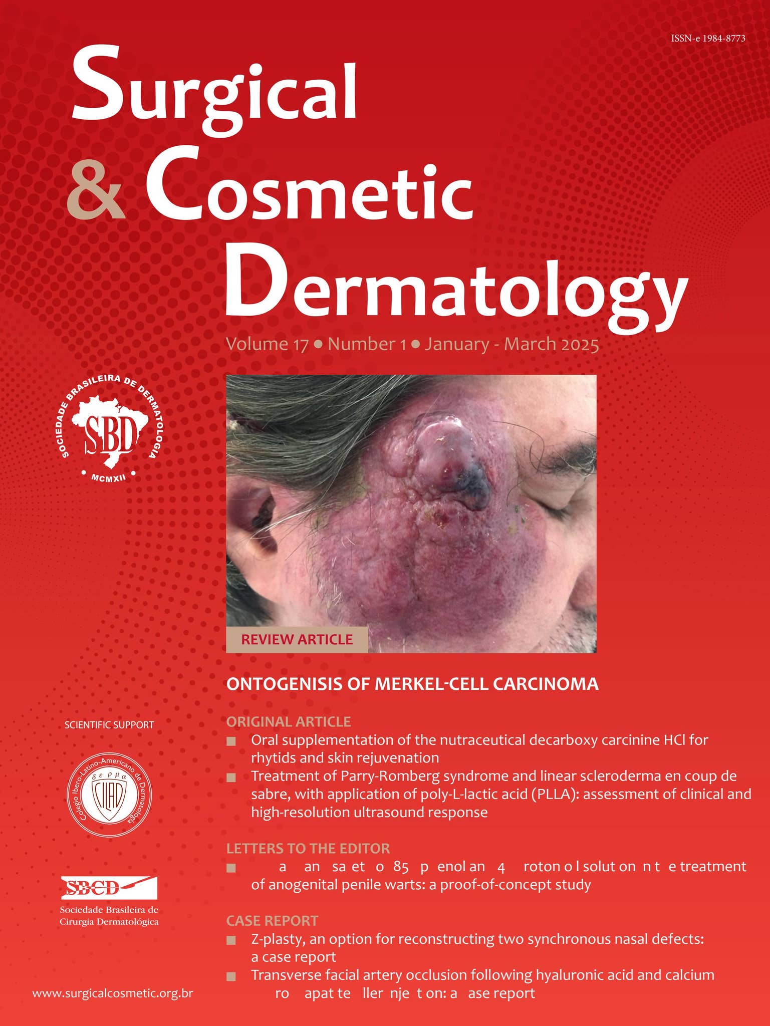 SVA Visual Arts Journal Fall 2017 by SVA Publications - Issuu, image size:1537x2048