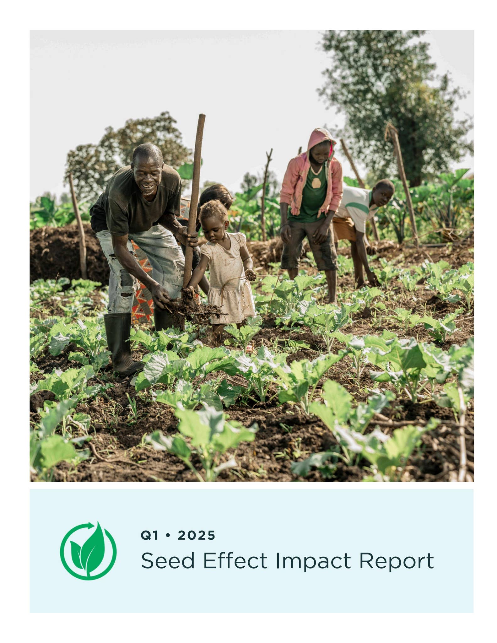 Seed Effect Q1 2025 Impact Report by seedeffect - Issuu