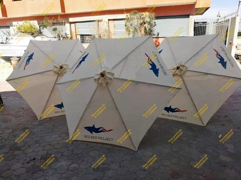 aRaims Umbrellas 第 3 页
