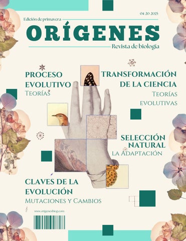 Revista digital  Teorías del proceso evolutivo  María V. Rodríguez R.