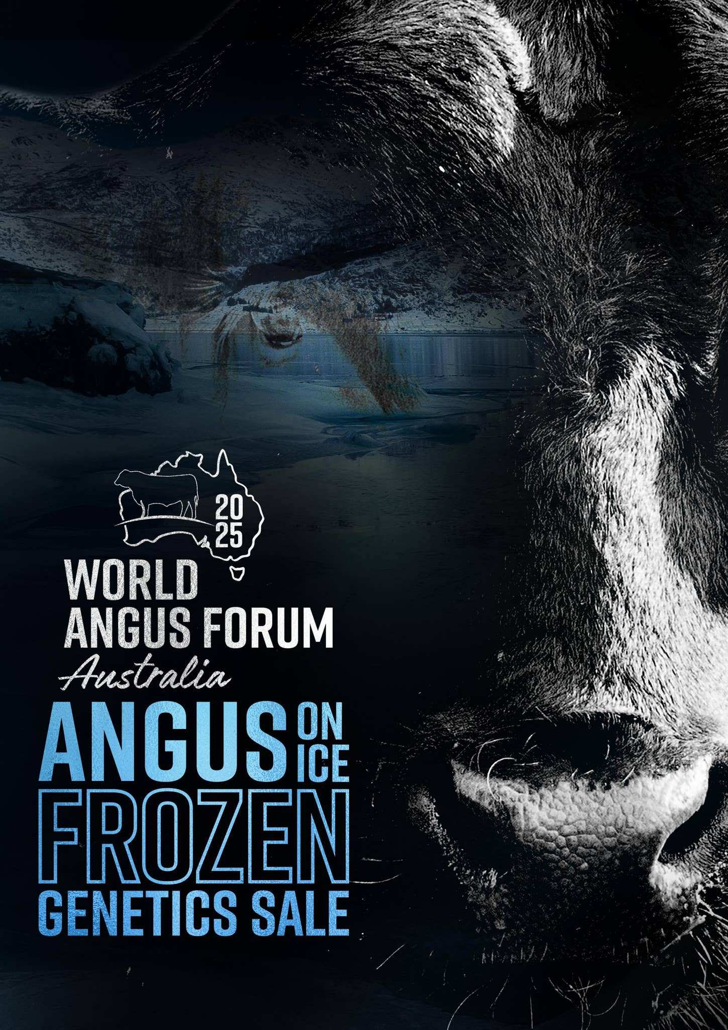 World Angus Forum Angus on Ice Frozen Genetics Sale by Angus Australia ...
