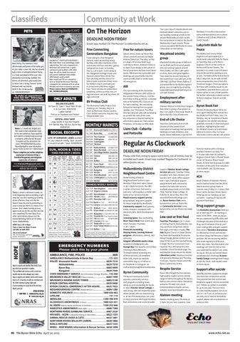 Page 46