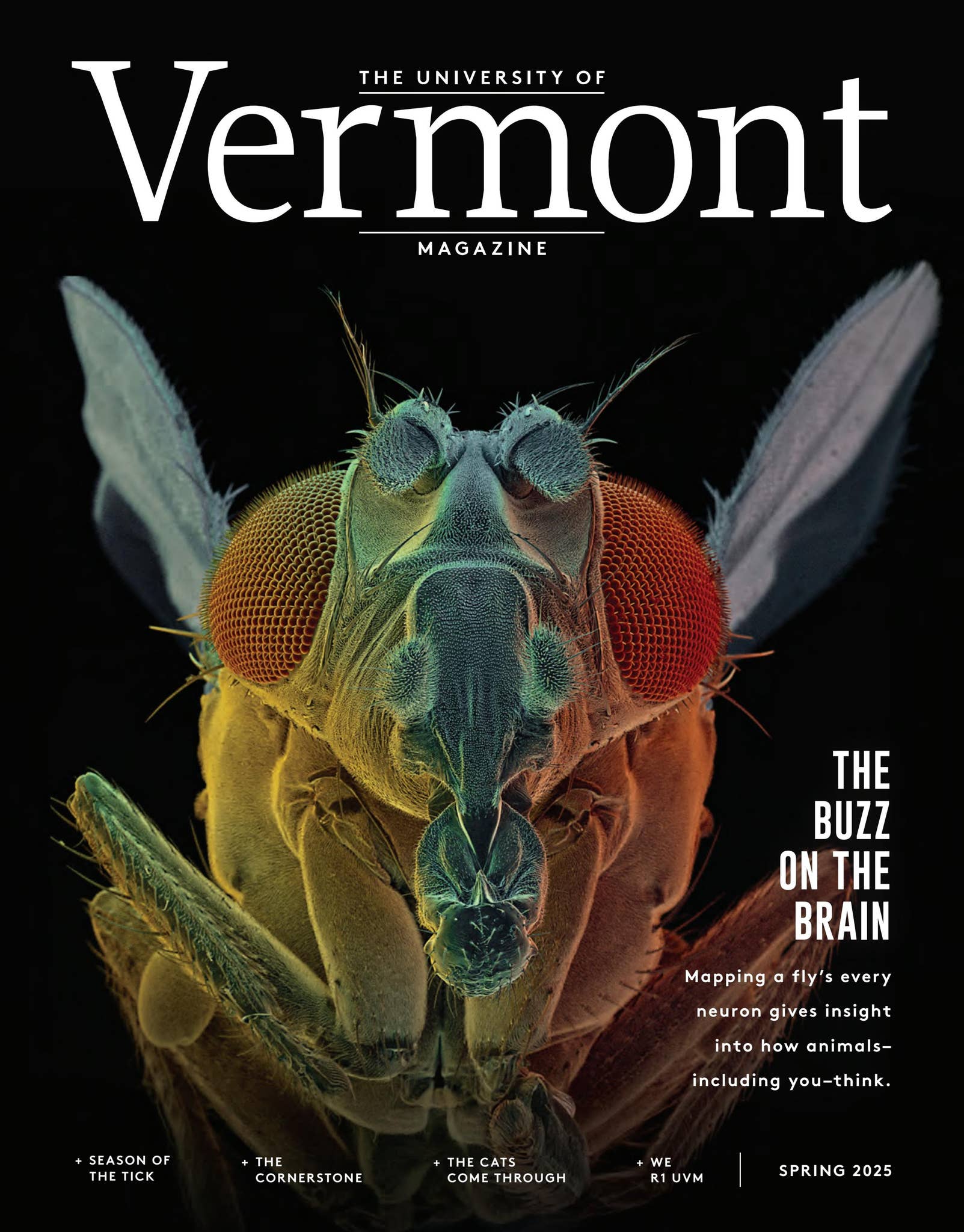 Science Fiction-Fantasy Mix English ~ **Pockets en paperbacks, gelezen maar  nog goede staat, de een meer lezerssporen dan de ander, hier is de prijs  ook naar.** * Soul Rider, book, image size:1603x2048