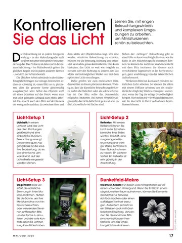 Ringfoto Magazin Ausgabe 3 2025 第 17 页