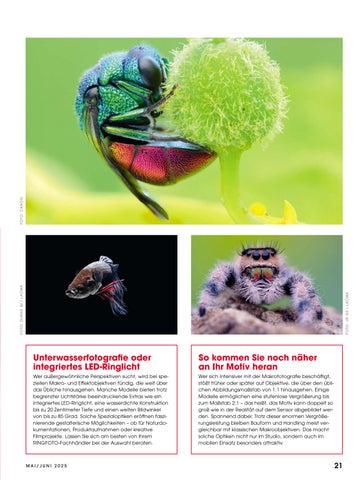 Ringfoto Magazin Ausgabe 3 2025 第 21 页
