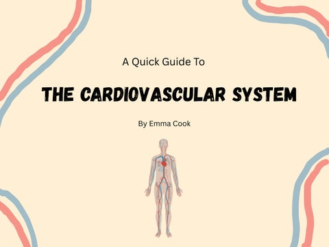 Cardiovascular System Guide - Formal Assignment pdf by Krista Cook - Issuu